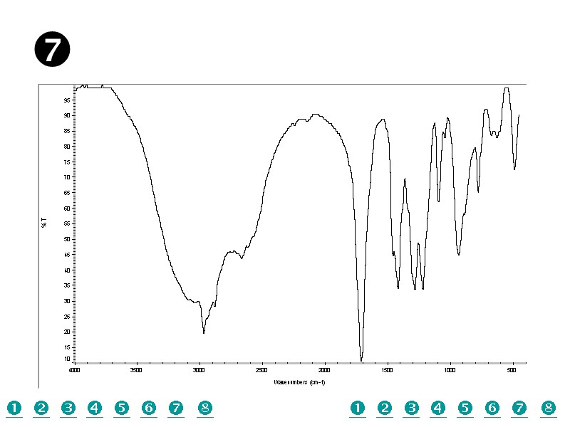              